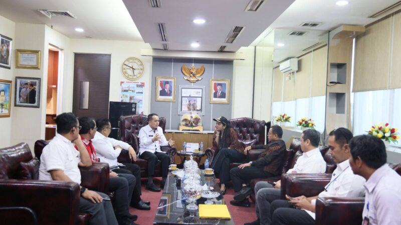 Bupati Dharmasraya Annisa Suci Ramadhani melakukan pertemuan dengan Direktur BUMD, BLUD, dan BMD Ditjen Bina Keuangan Daerah Kemendagri