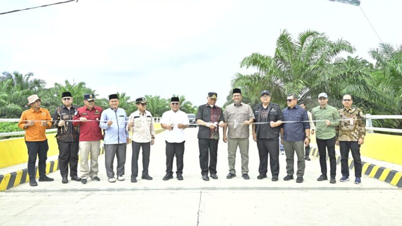 Gubernur Resmikan Pemakaian 3 Jembatan Strategis di Pasaman Barat