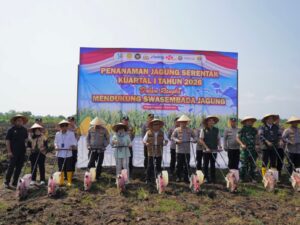 Bulog Sumbar Ikuti Tanam Jagung Serentak di Padang Pariaman