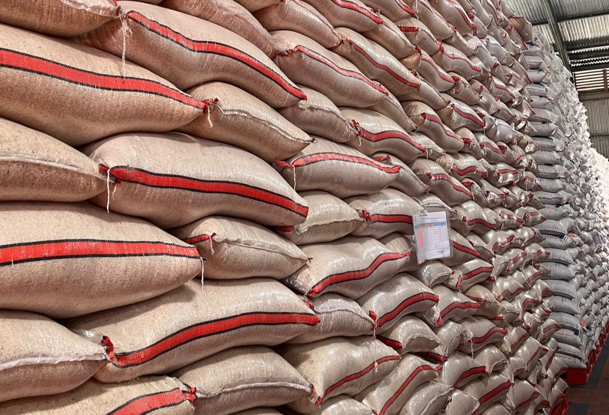 Stok Melimpah, Bulog Pastikan Ketersediaan Beras di Sumbar Aman Sampai Akhir 2026