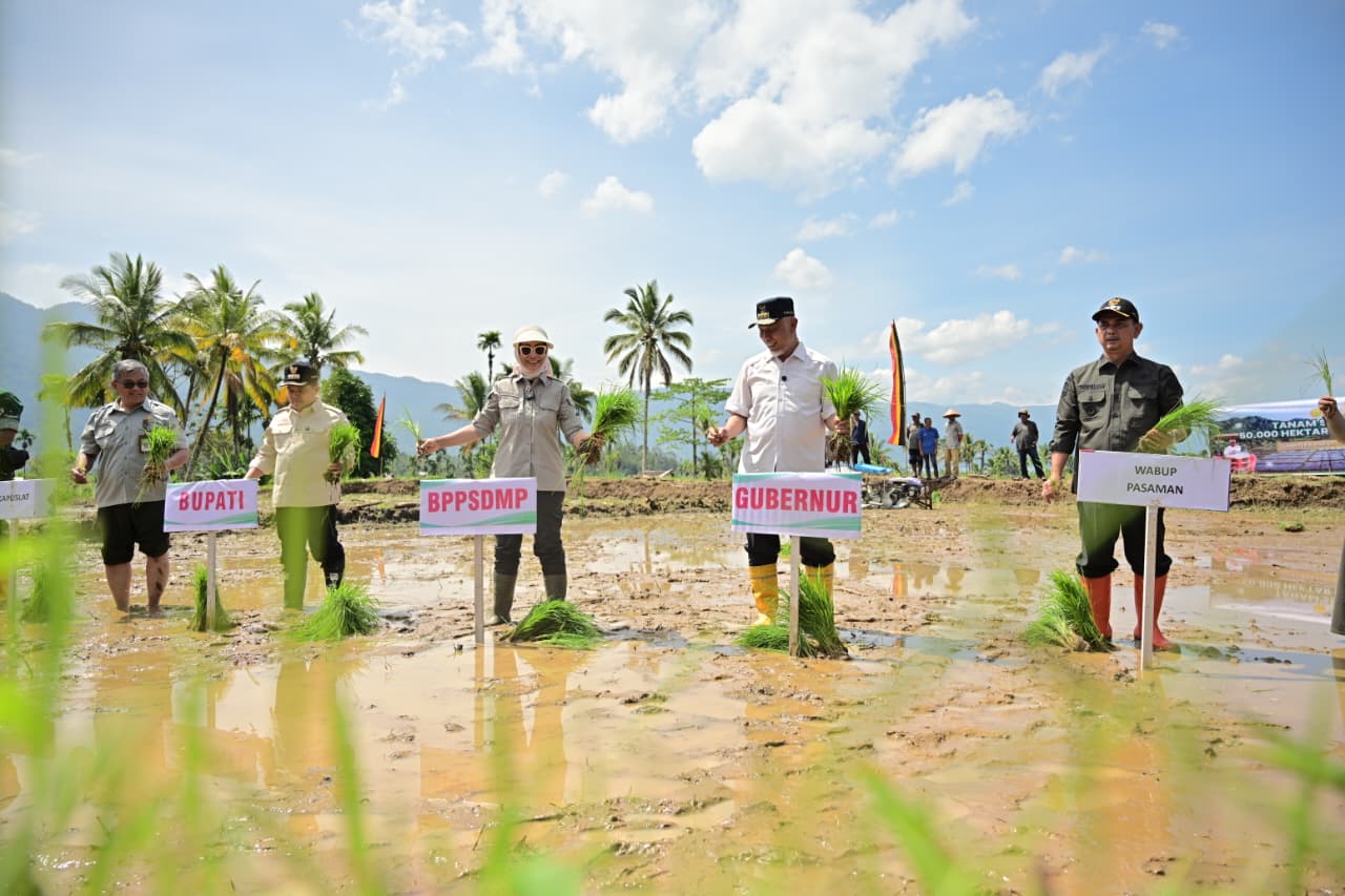 Gerakan Tanam Serempak 50 Ribu Ha, Gubernur Sumbar Dorong Percepatan Pemulihan Lahan