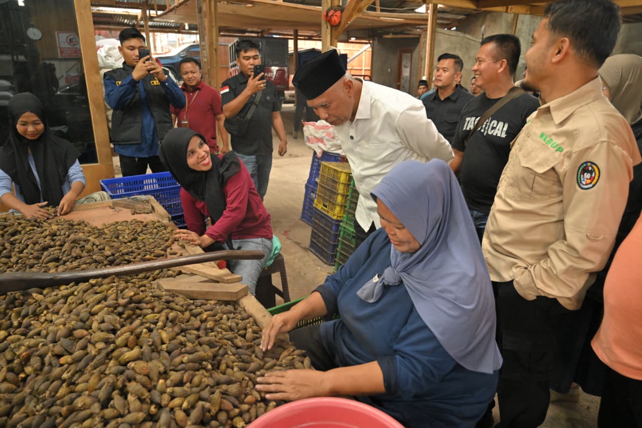 Gubernur Sumbar Tinjau Pabrik Pengolahan Pinang di Akabiluru, Dorong Hilirisasi Komoditas Lokal