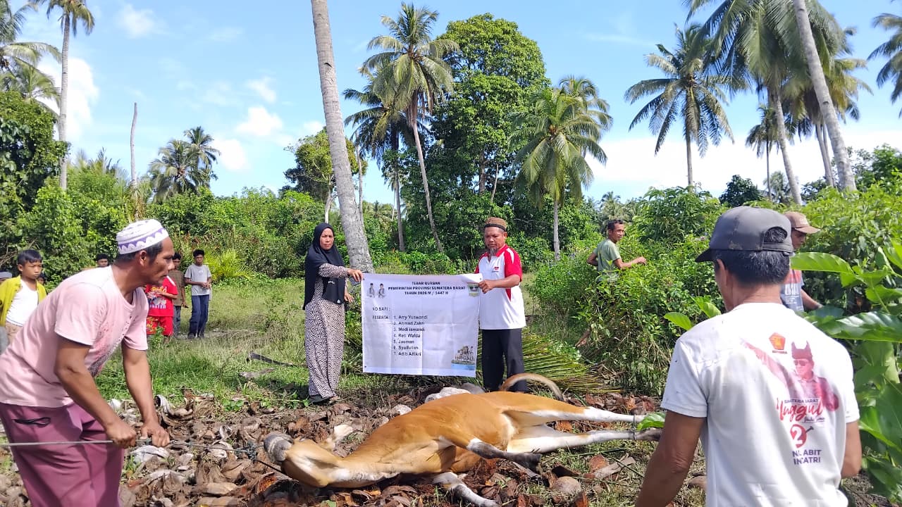 Sebar 5 Hewan Kurban di Mentawai, Kesbangpol Sumbar: Daging Juga Dibagikan ke Masyarakat Nonmuslim