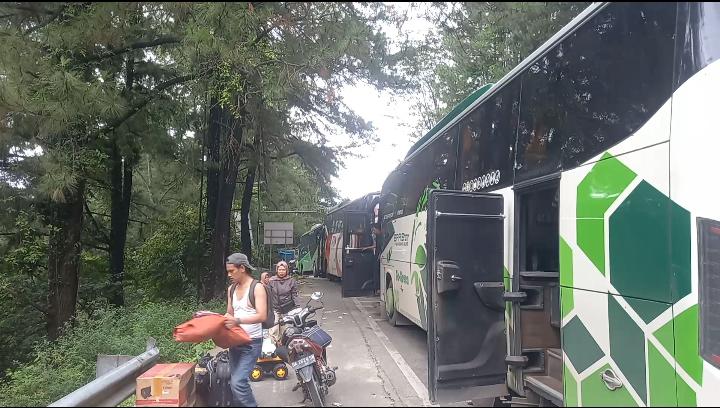 Ketika Macet Sitinjau Lauik Bikin Ayam Bangkok dan Anjing Milik Penumpang Bus Mati