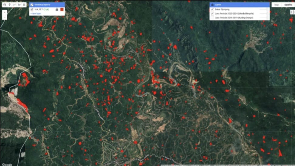 LBH Padang Ungkap 14,5 Ribu Hektare Hutan di Sijunjung Rusak karena Tambang Emas Ilegal 