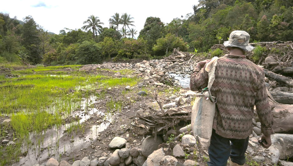 Perbaikan Sawah Pascabencana Lambat: Ekonomi Petani Terhimpit, Musim Panen Terancam
