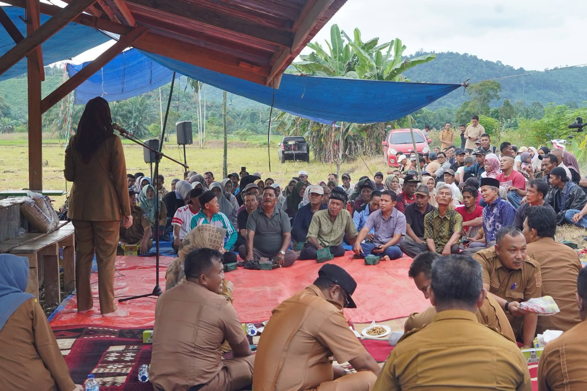 Perkuat Sektor Pertanian, Pemkab Dharmasraya Salurkan 14 Unit Traktor untuk Kelompok Tani