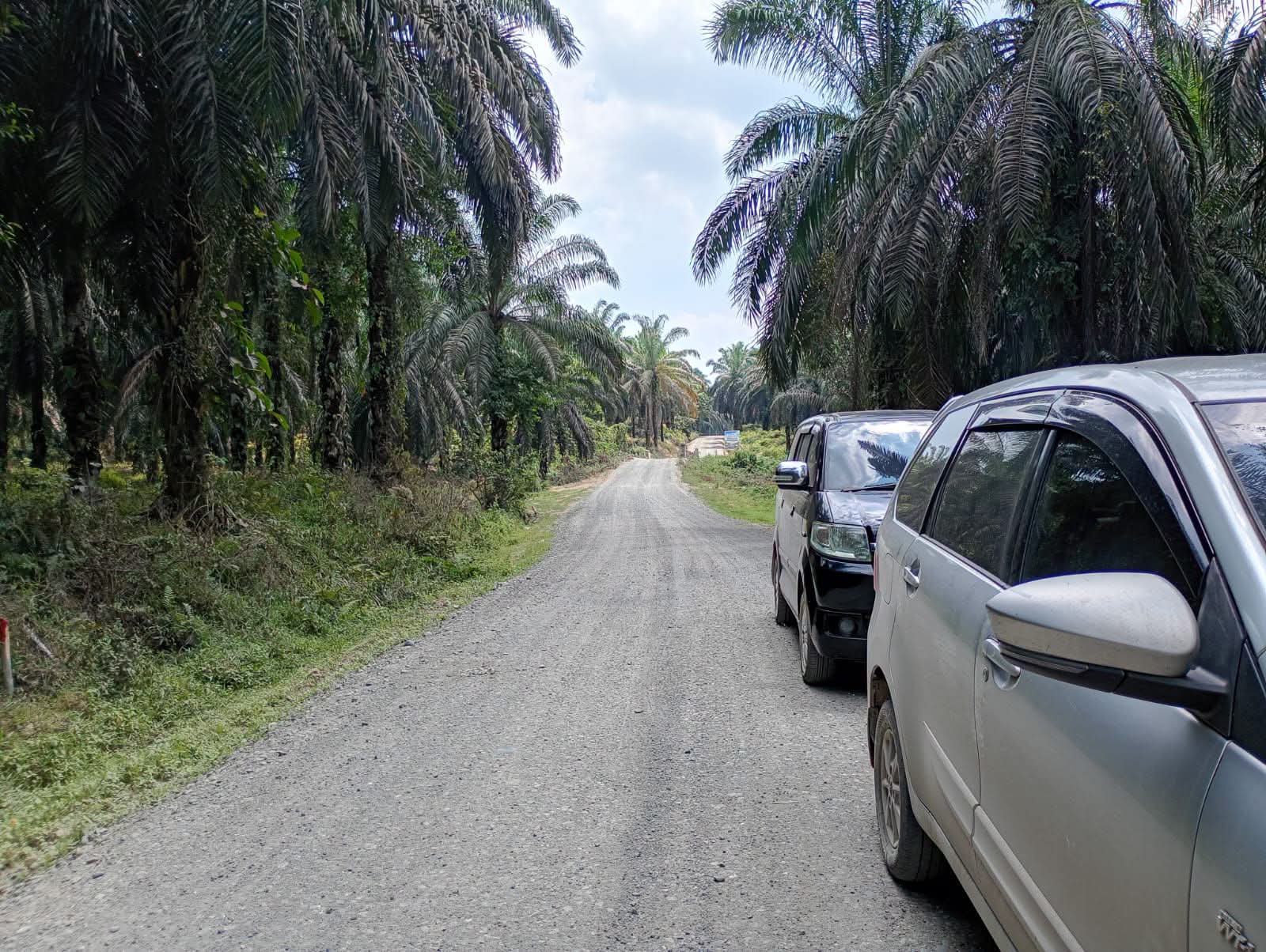 Pemkab Dharmasraya Himpun Dana CSR Rp31,55 Miliar, Pembangunan Jalan Nagari Taratak Tinggi Masuki Tahap Persiapan Aspal