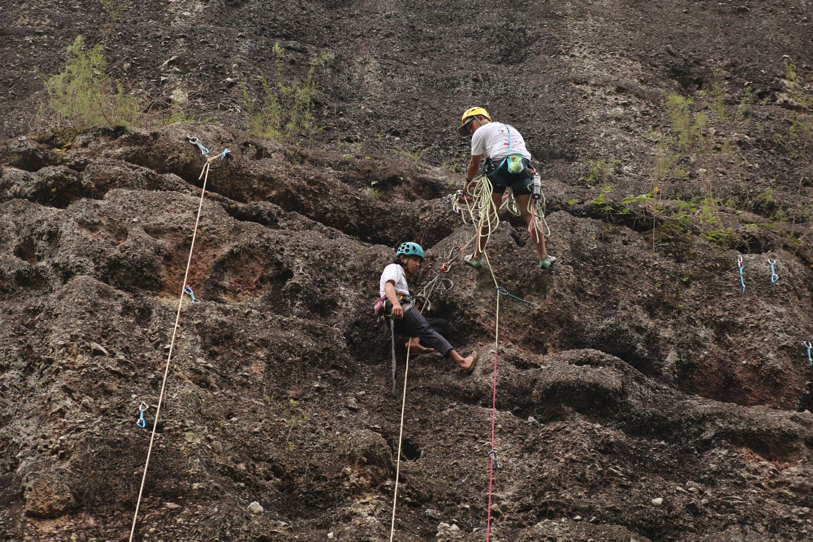 HICFEST 2026: Lembah Harau Disiapkan Jadi Panggung Panjat Tebing Dunia, Targetkan 2.500 Peserta