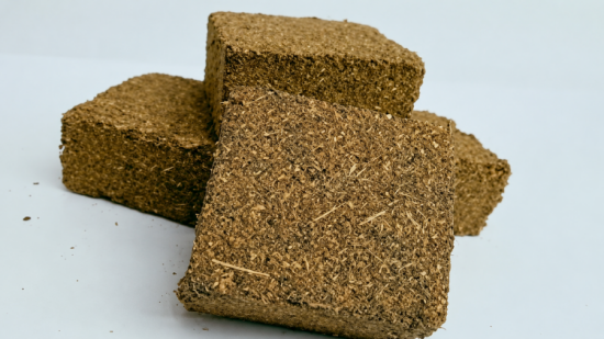 Peneliti UNAND Kembangkan Pakan Fungsional Berbasis Bahan Lokal untuk Hasilkan Daging dan Susu Premium