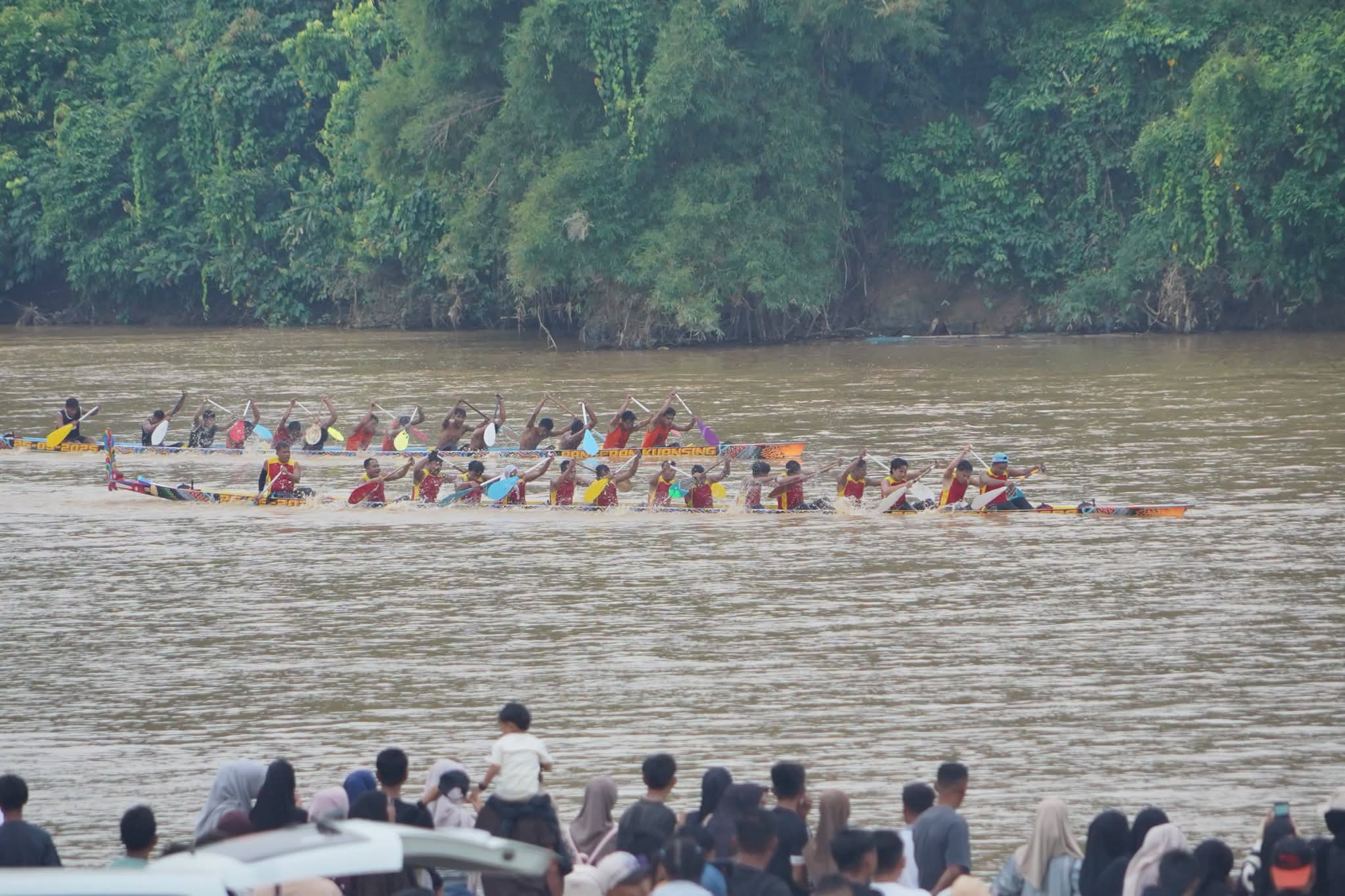 Harimau Buas dari Kuantan Singingi Juara Selaju Sampan Badunsanak di Dharmasraya
