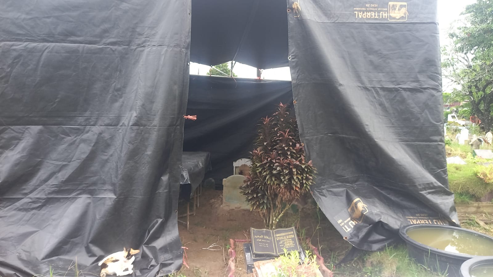 Keluarga Siswi SDN 33 Rawang Tunggu Hasil Autopsi, Kuasa Hukum: Jika Terbukti, Proses Hukum