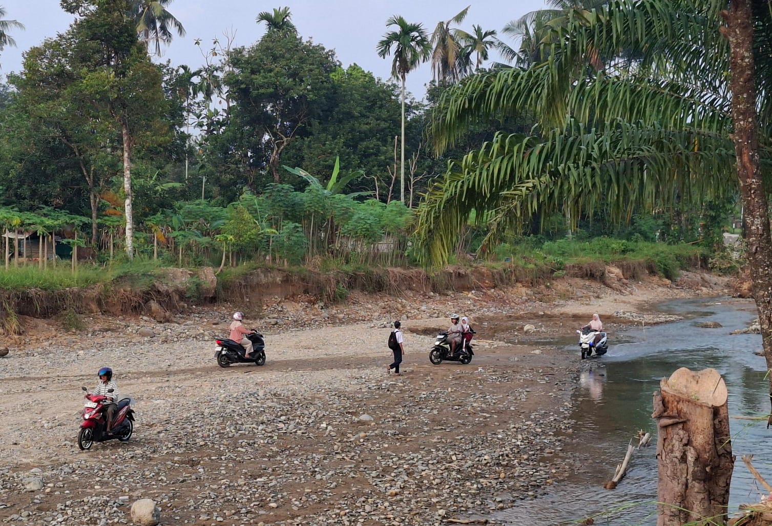 Kisah Ilham, Siswa SMPN 41 Padang Sebrangi Sungai Pergi Sekolah Usai Jembatan Rusak