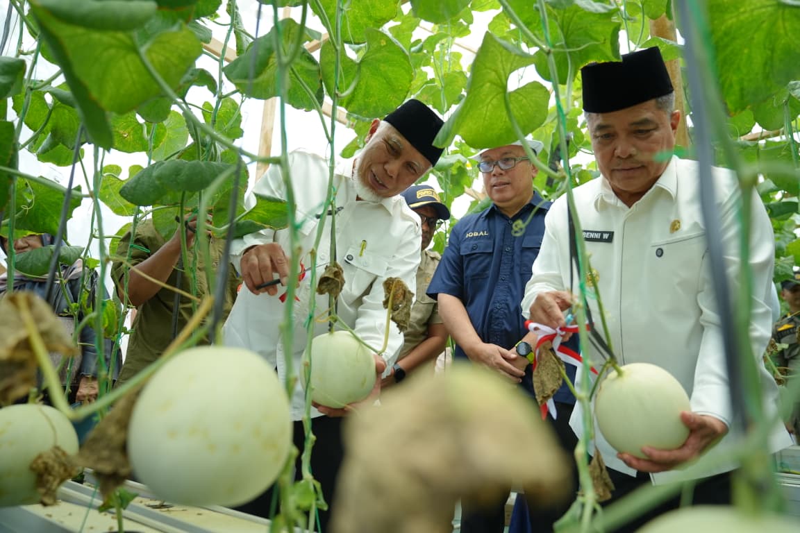 Gubernur Mahyeldi Dorong Pertanian Sumbar Berbasis Smart Farming