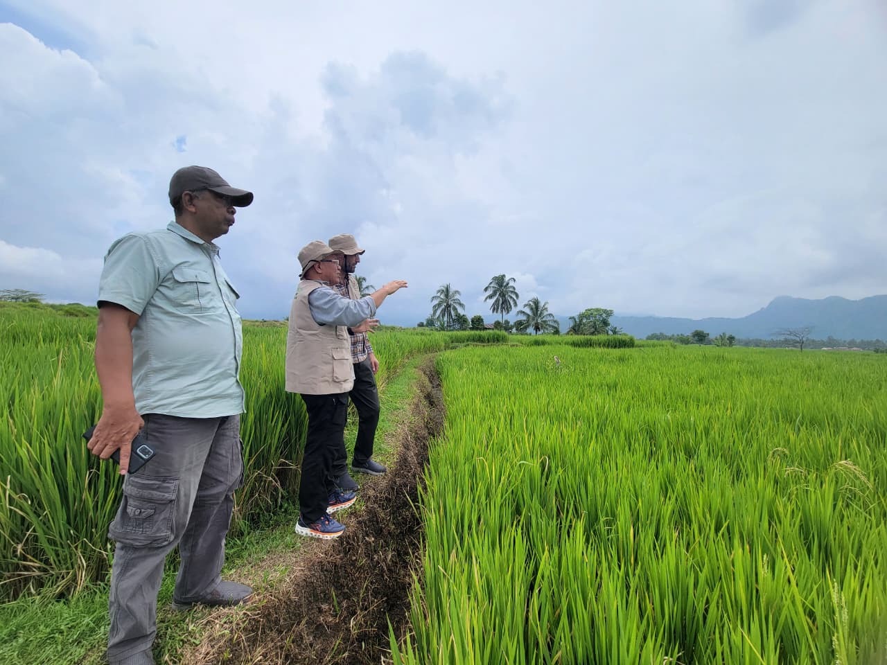 Riset UNAND: Strategi Petani Sumbar dan Sulsel Hadapi Perubahan Iklim Berbeda