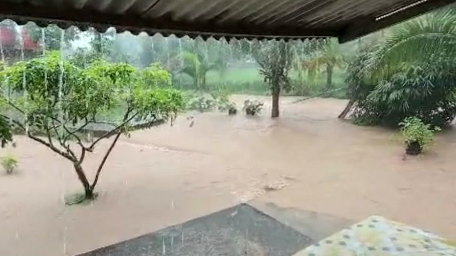 BPBD Padang Catat 74 Titik Banjir dan 6 Pohon Tumbang Akibat Cuaca Ekstrem