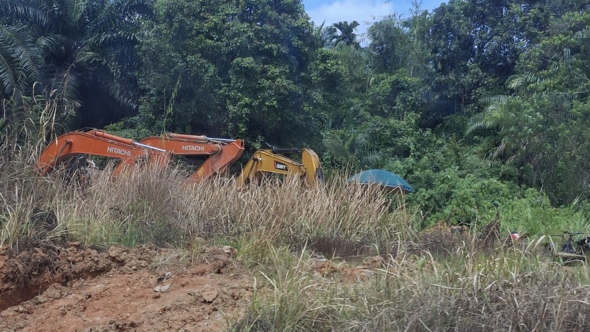 Siapa Aktor di Balik Tambang Emas Ilegal di Pasaman Barat?