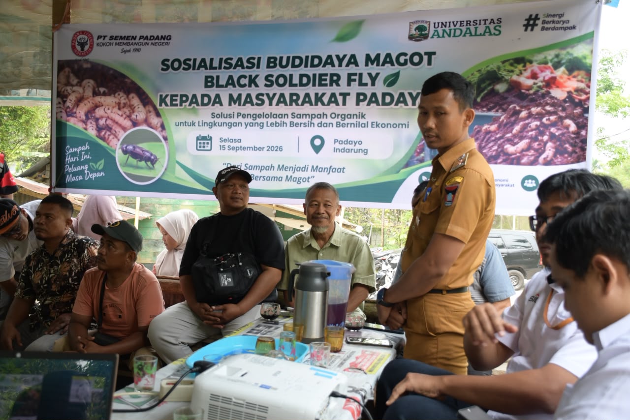 Semen Padang Fasilitasi Budidaya Maggot di Padayo, Limbah Organik Diolah Jadi Cuan