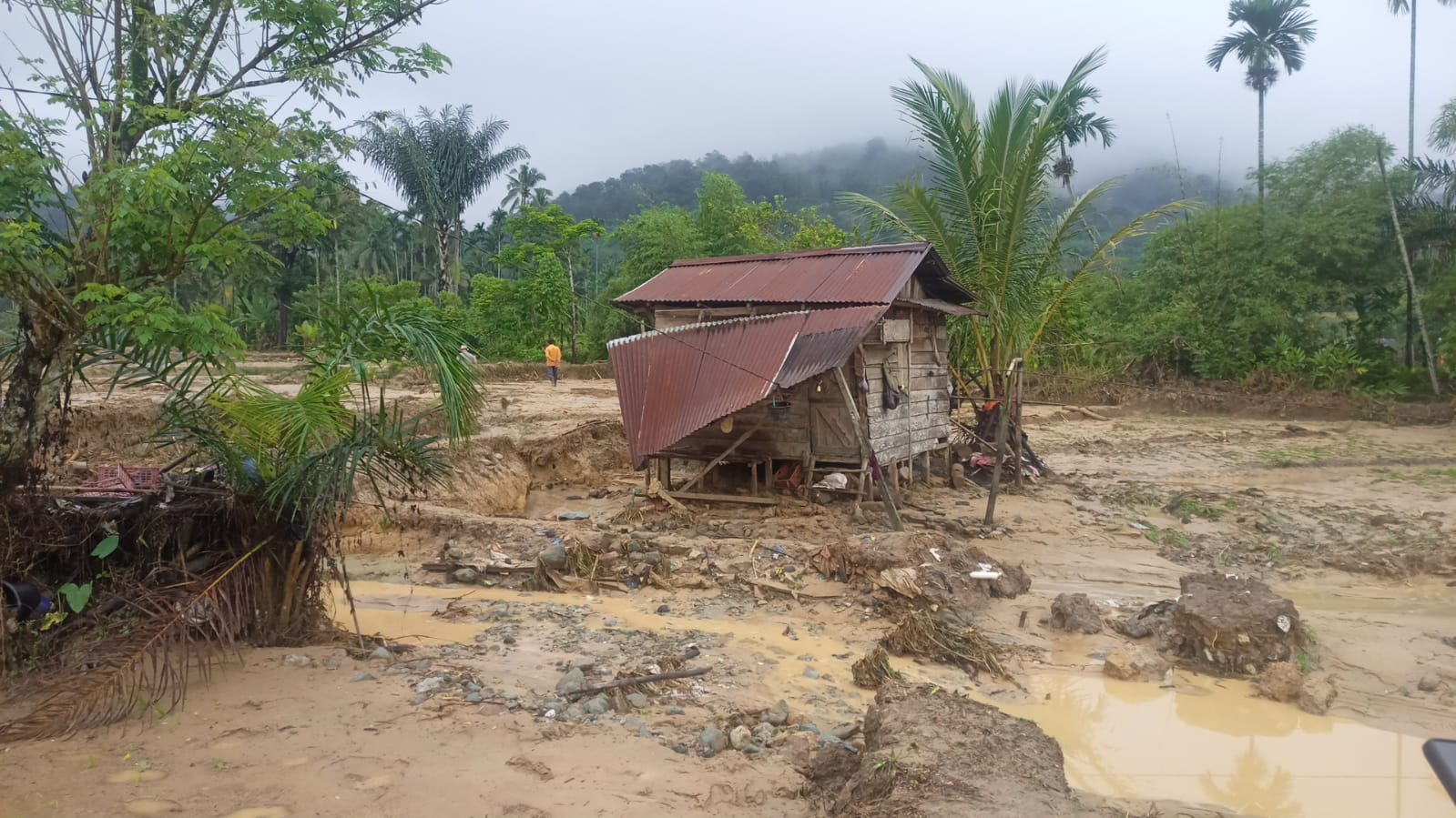 Hari Ketiga, Korban Terseret Arus Galodo di Pasaman Masih Dicari